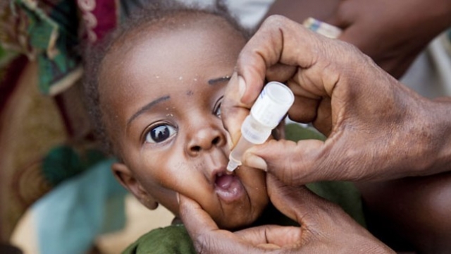 An eligible child receiving oral polio vaccine in Maiduguri, Borno state