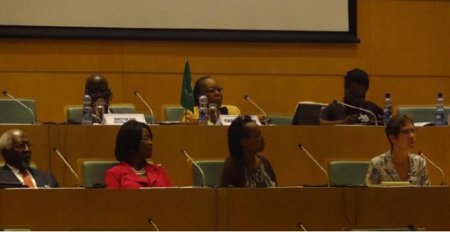 [Above] Chairing the meetings, [Below] Panelists of the African diaspora initiative, AU