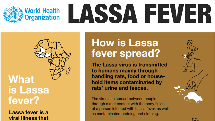 Lassa fever infographics