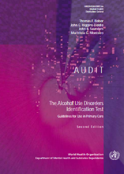 audit