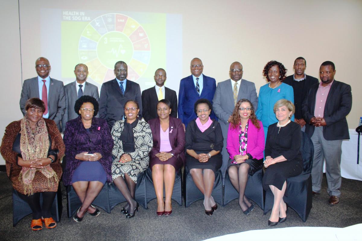 The consultants from AFRO posing for a group photo with the WHO Representative Dr Tigest Ketsela Mengestu, UNFPA Representative Ms Sharareh Armikhalili, Ministry of Health PS Dr Simon Zwane and other senior officers from the WCO and Ministry of Health during the high level meeting.