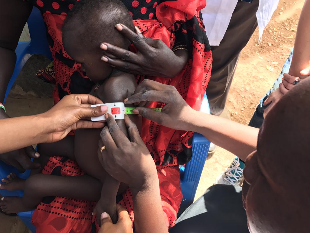 A medical personnel measures a child's middle upper arm circumference (MUAC) to check for malnutrition.  A color-coded MUAC band is a simple tool for screening children for acute malnutrition. Photo: WHO.