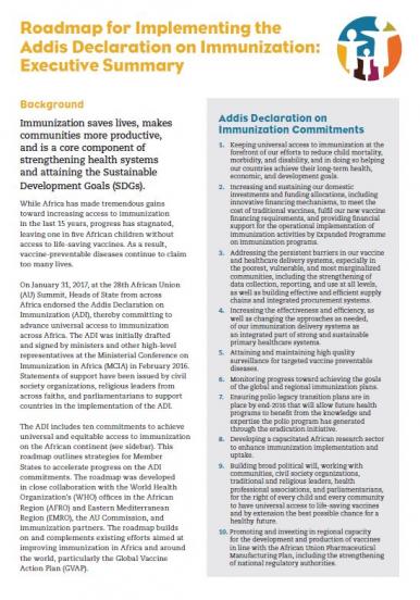 Roadmap for Implementing the Addis Declaration on Immunization: Executive Summary