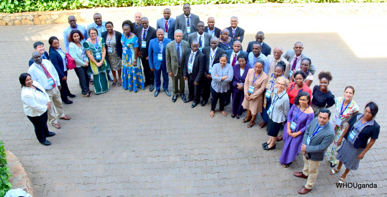 Ministry of Health and WHO officials in attendance at the workshop