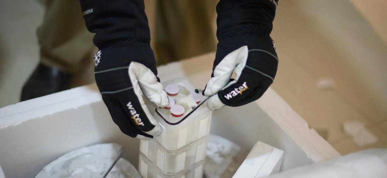 A worker places vials in a container