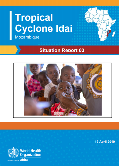 Cyclone Idai Mozambique Situation Report