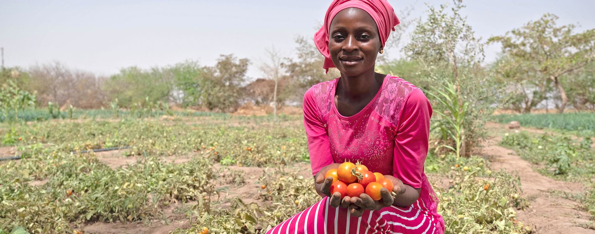 When microfinance leads to major healing: Bridging agriculture and health in Senegal