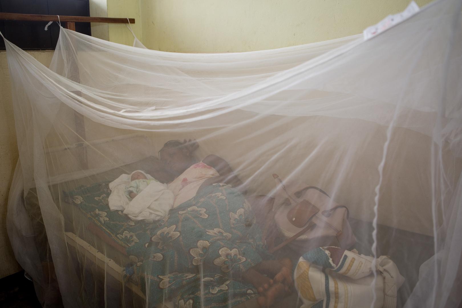 Togo is first African country to end sleeping sickness as a public health problem