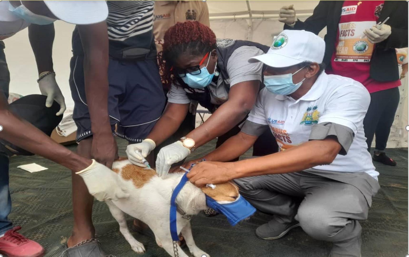 Launching the vaccination of 10,000 dogs and cats as part of the World Rabies Day 2021 Commemoration