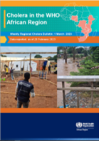 Cholera in the WHO African Region: Weekly Regional Cholera Bulletin: 1 March 2023