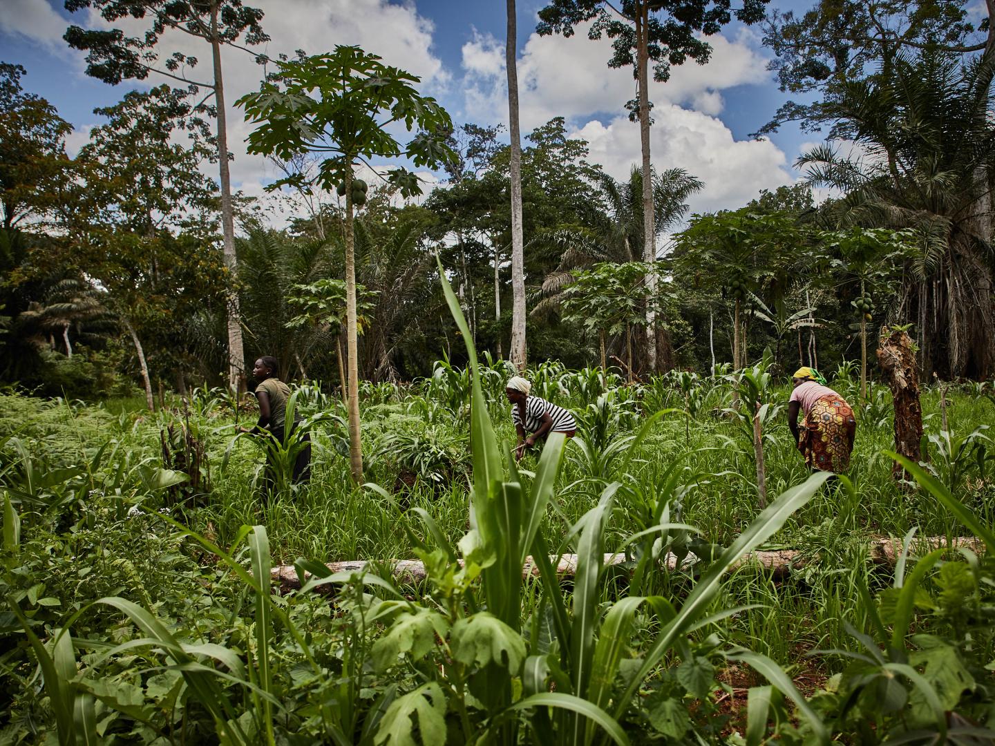 Preserving biodiversity, health and environment