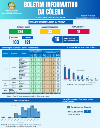 Boletim de Cólera 2024 Nº 5