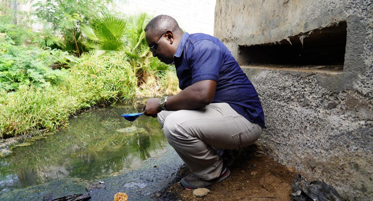 Entomologista, consultor da OMS, Jude Bigoga, em Cabo Verde