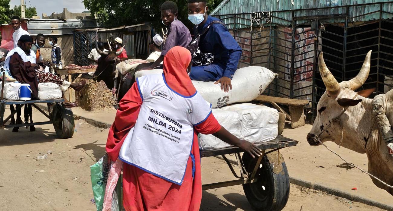 Distribution des MILDA à Maradi