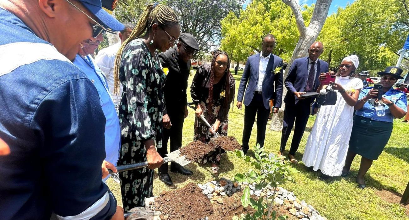 Mrs Kaunatjike of WHO, planting a tree honoring those affected by road traffic crashes on behalf of the WHO Representative 