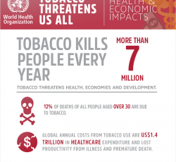 infographic-economic-impact