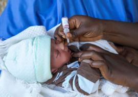 A child receiving oral polio vaccine during immunization campaign in Kano State