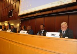 L-R: Dr Julie Jacobson, Uniting to Combat NTDs; (podium) Dr Abdissa Kurkie, DPC Director, MoH of Ethiopia; Mr Xavier Daney, Senior Legal Officer, WHO; Dr Damas Bodzongo, Representative of the Minister of Health of the DRC; Dr Kesetebirhan Admasu, Minister of Health of Ethiopia; Dr Jean Baptiste Roungou, Director of APOC; Dr Pierre M'pele-Kilebou, WHO Representative in Ethiopia; Dr Adrian Hopkins, Executive Secretary of GAELF.