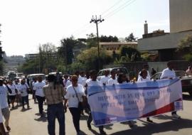 Partial view of participants at WHD2016 mass walk