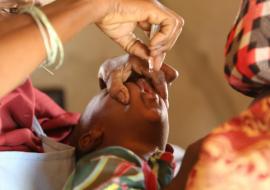 Polio vaccination at the Nigeria-Niger border crossing. Ilela, Sokoto. March 2017. Photo - WHO J Swan (2)