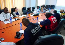 WHO and partner organisations meet in Conakry to reinvigorate the health cluster.