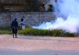 Riposte FJ_opération de fumigation à l'hôpital général de référence de Matadi par MSF pour limiter les piqûres des moustiques