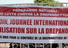 De la gauche vers la droite, Prof Gbadoe (Université de Lomé) Dr Agoudavi (Ministère de la santé) et Dr Agbekou (OMS/Togo)