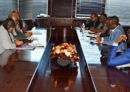 Acting Minister of Health Hon. Phillip Makgalemele (left, centre) discussing with the WHO team