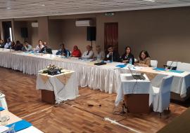 Dr Tapko providing technical support to the health professionals and other key stakeholders in view of formulating the Blood Policy and develop the Strategic Framework of Action for Blood Service for Mauritius