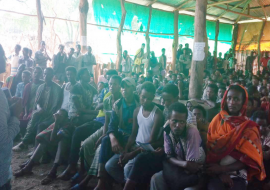 Seasonal workers in West Gondar