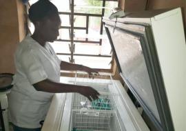 Nurse Ayenajeh Sasefu carefully arranges vaccines for various diseases