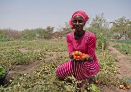 When microfinance leads to major healing: Bridging agriculture and health in Senegal