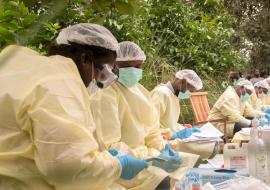 Democratic Republic of the Congo Ebola cases rise, surpass previous outbreak