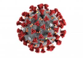 Coronavirus