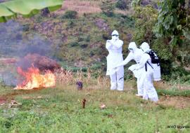 Burial Teams at work