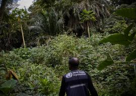 Réapparition du virus Ebola au Nord-Kivu en République démocratique du Congo