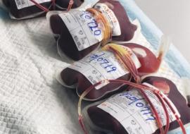 Blood products collected from donors  - photo credit