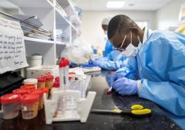 Towards Africa’s first mRNA vaccine technology transfer hub