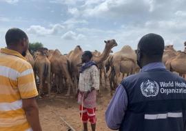 Dr Adam Haji, WHO, and Wajir County team, access nomadic communities for Covid-19  vaccination in north-eastern Kenya recently