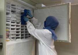 Kenyan lab boosting Africa’s genome surveillance