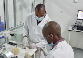 National Microbiology Reference Laboratory Scientists processing Tricycle samples on Vitek 2 machine