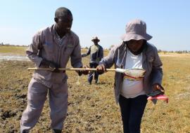 Field Operators monitoring the water bodies for larvae