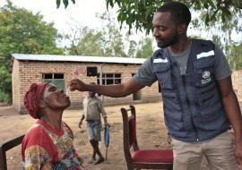 New cholera cases in Africa surging fast, reach a third of 2022 total in a month