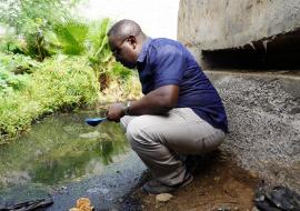 Entomologista, consultor da OMS, Jude Bigoga, em Cabo Verde