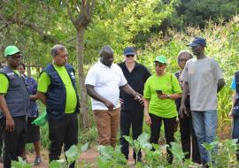 Tony Kidiga, focal point for Tobacco Free Farms, Ministry of agriculture, speaks about good practices to WHO visiting team at a farmer's in Migori County