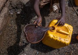 Cholera response