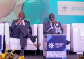 Hon. Dr Kalumbi Shangula, Minister of Health and Social Services and Dr. Joseph Waogodo Cabore Director for Programme Management at the WHO Regional Office for Africa 