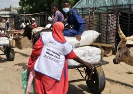 Distribution des MILDA à Maradi