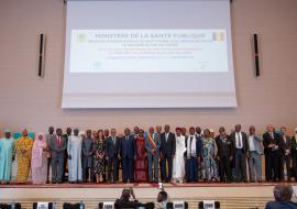 Three Central African countries commit to global eradication of Guinea-worm disease