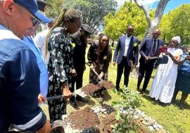 Mrs Kaunatjike of WHO, planting a tree honoring those affected by road traffic crashes on behalf of the WHO Representative 